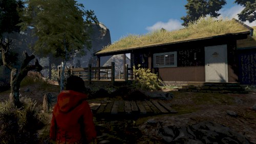 Screenshot of Through the Woods