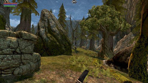 Screenshot of Ravensword: Shadowlands