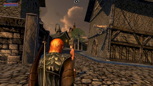 Screenshot of Ravensword: Shadowlands