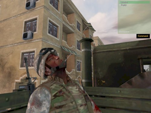 Screenshot of Arma: Gold Edition