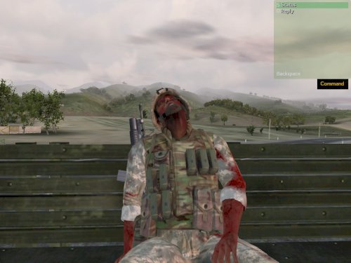 Screenshot of Arma: Gold Edition