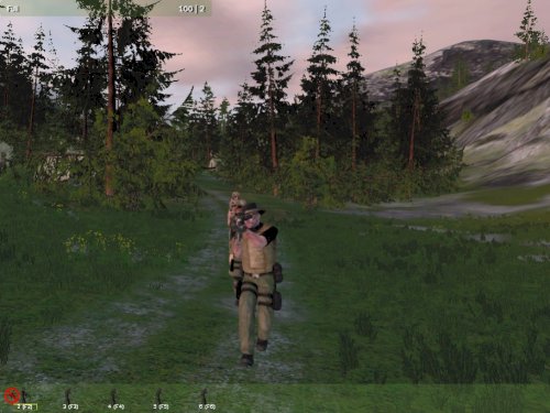 Screenshot of Arma: Gold Edition