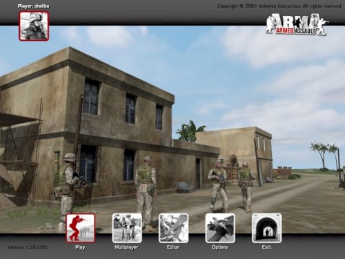 Screenshot of Arma: Gold Edition