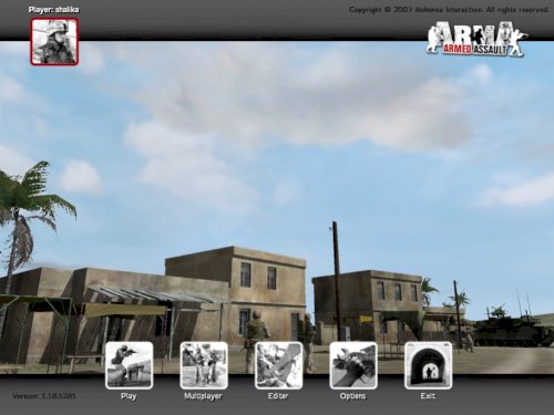 Screenshot of Arma: Gold Edition