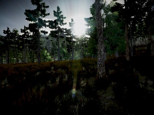 Screenshot of The Secrets of The Forest