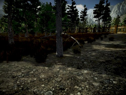 Screenshot of The Secrets of The Forest