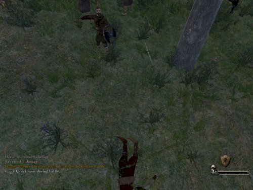 Screenshot of Mount & Blade: Warband