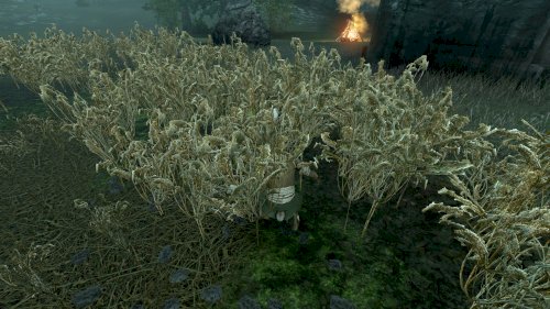 Screenshot of Overgrowth