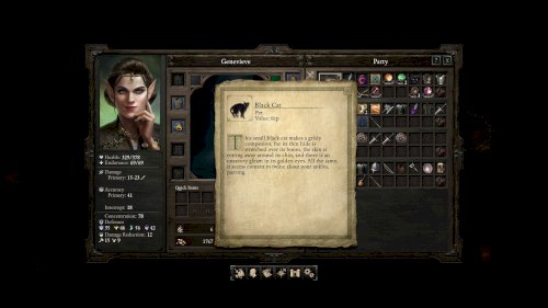 Screenshot of Pillars of Eternity