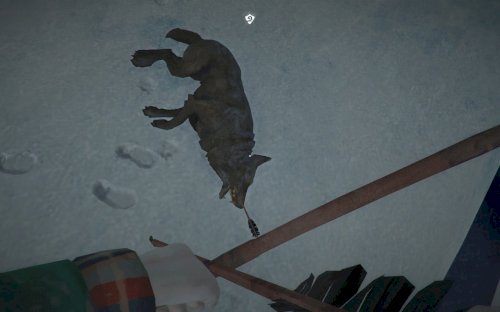 Screenshot of The Long Dark