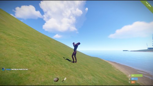 Screenshot of Rust