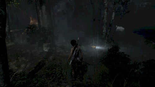 Screenshot of Tomb Raider