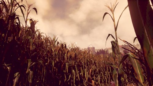 Screenshot of Maize