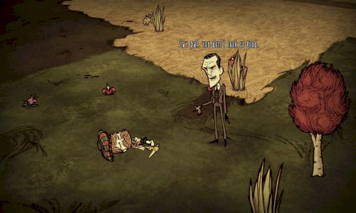 Screenshot of Don't Starve