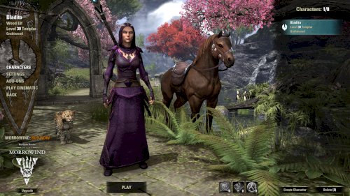 Screenshot of The Elder Scrolls Online