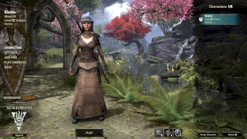 Screenshot of The Elder Scrolls Online