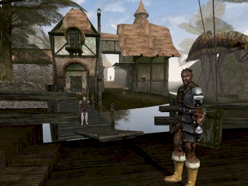 Screenshot of The Elder Scrolls III: Morrowind