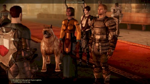 Screenshot of Dragon Age: Origins