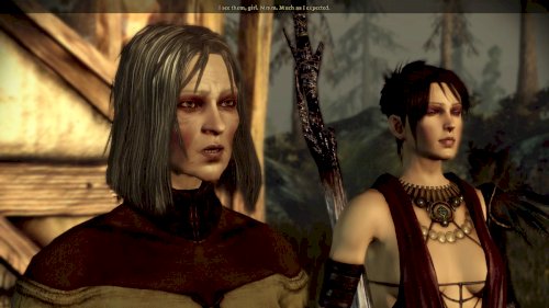 Screenshot of Dragon Age: Origins