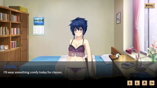 Screenshot of Sword of Asumi