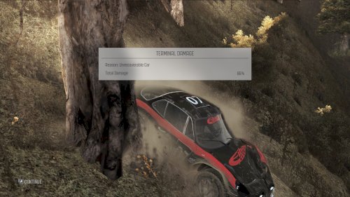 Screenshot of DiRT Rally