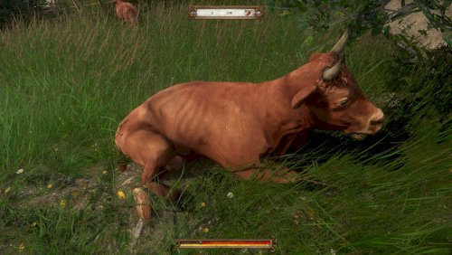 Screenshot of Kingdom Come: Deliverance