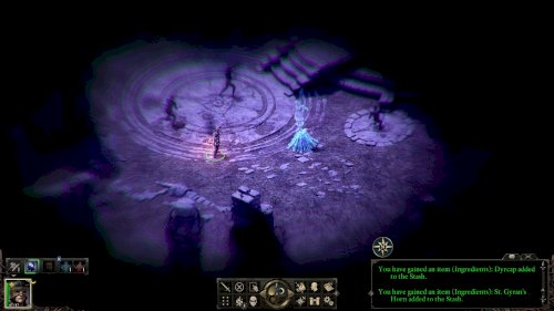 Screenshot of Pillars of Eternity