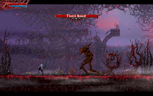 Screenshot of Slain: Back from Hell