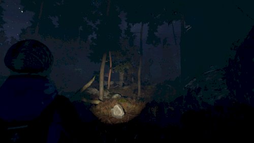 Screenshot of Through the Woods