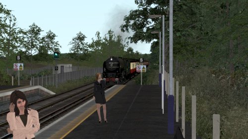 Screenshot of Train Simulator