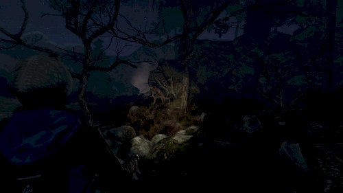 Screenshot of Through the Woods