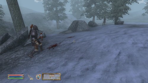 Screenshot of The Elder Scrolls IV: Oblivion