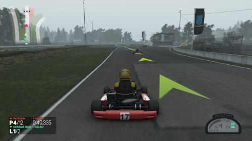 Screenshot of Project CARS