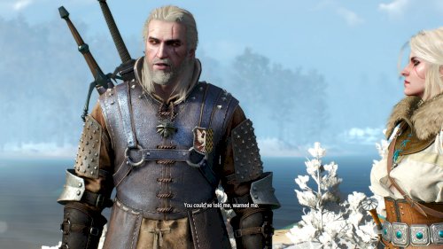 Screenshot of The Witcher 3: Wild Hunt