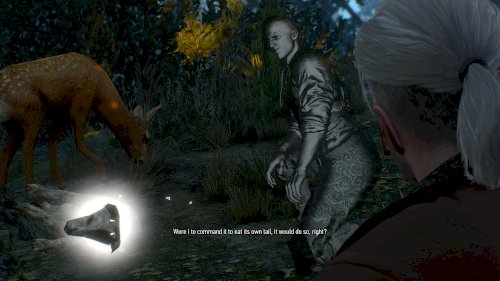 Screenshot of The Witcher 3: Wild Hunt