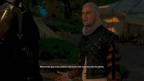 Screenshot of The Witcher 3: Wild Hunt