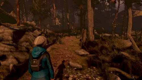 Screenshot of Through the Woods