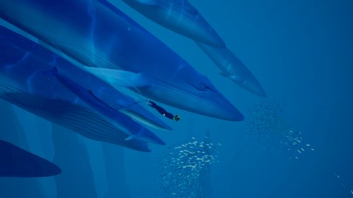 Screenshot of ABZÛ