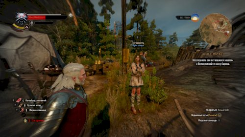 Screenshot of The Witcher 3: Wild Hunt