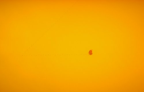 Screenshot of The Stillness of the Wind