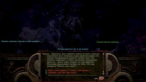 Screenshot of Planescape: Torment: Enhanced Edition