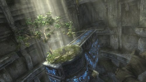 Screenshot of Tomb Raider: Underworld