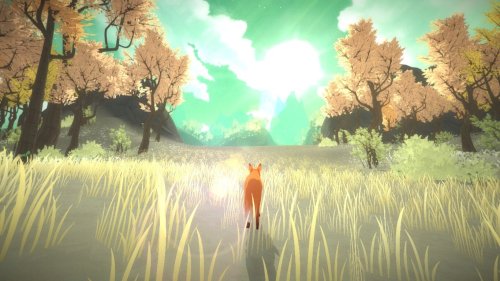 Screenshot of The First Tree