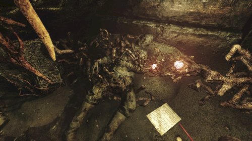 Screenshot of Amnesia: Rebirth