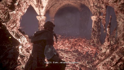 Screenshot of A Plague Tale: Innocence