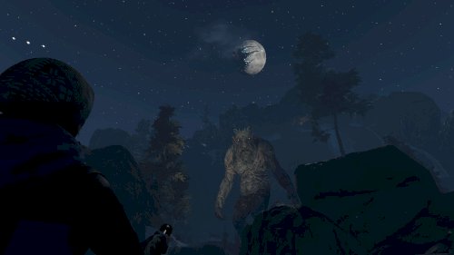 Screenshot of Through the Woods