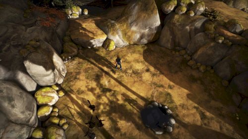 Screenshot of Brothers - A Tale of Two Sons