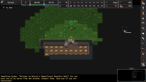 Screenshot of ADOM (Ancient Domains Of Mystery)