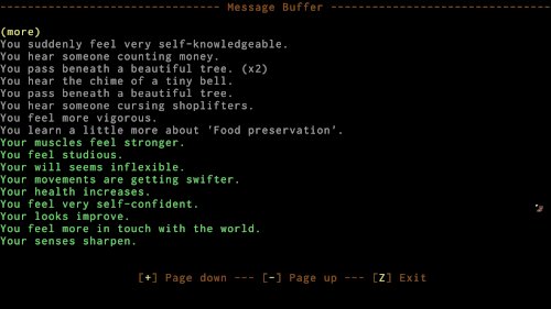 Screenshot of ADOM (Ancient Domains Of Mystery)