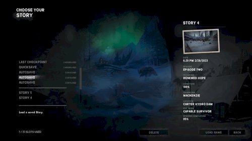 Screenshot of The Long Dark